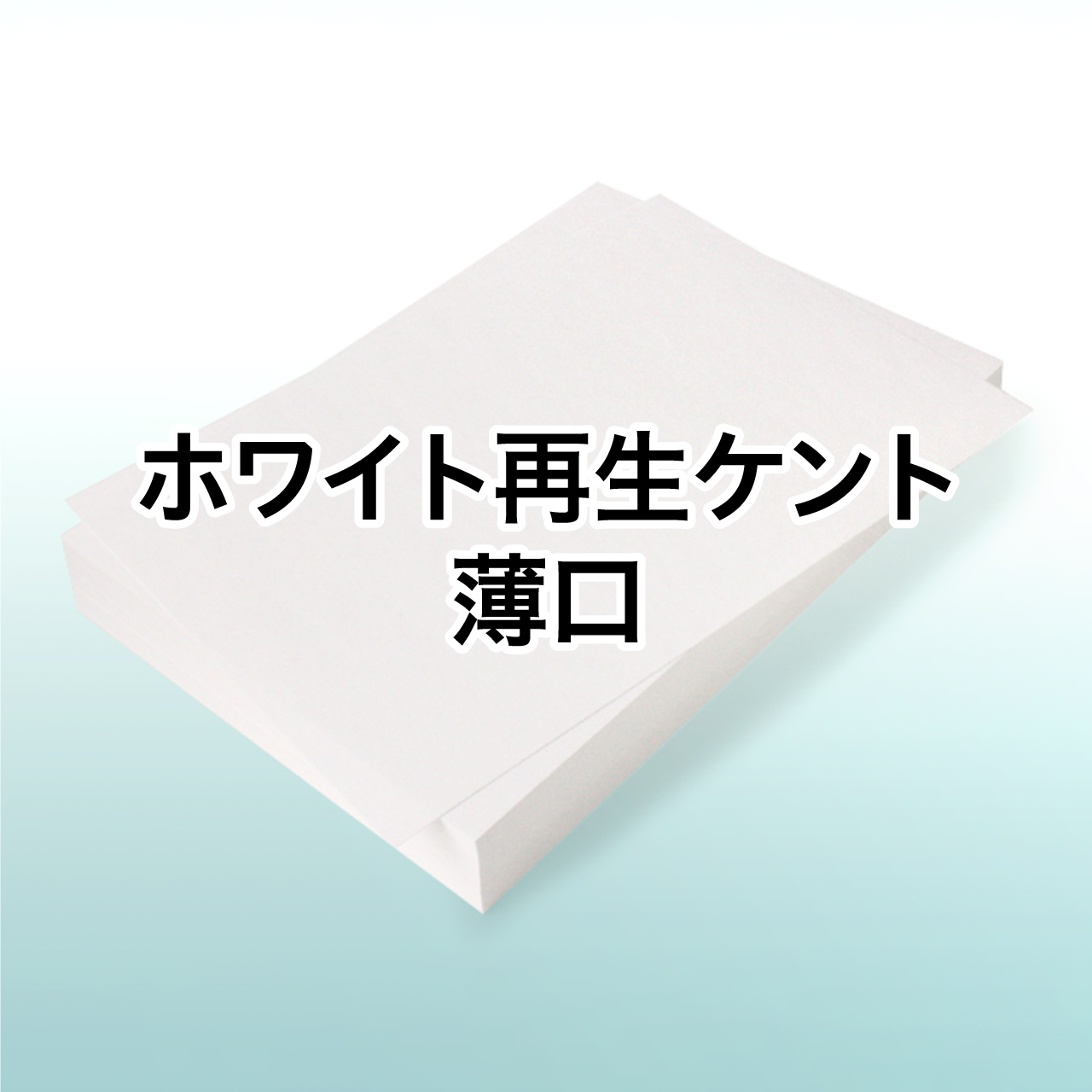 �z���C�g�Đ��P���g ����
