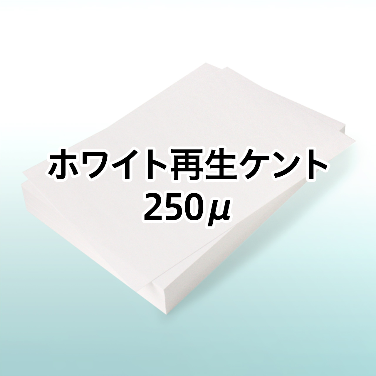 �z���C�g�Đ��P���g