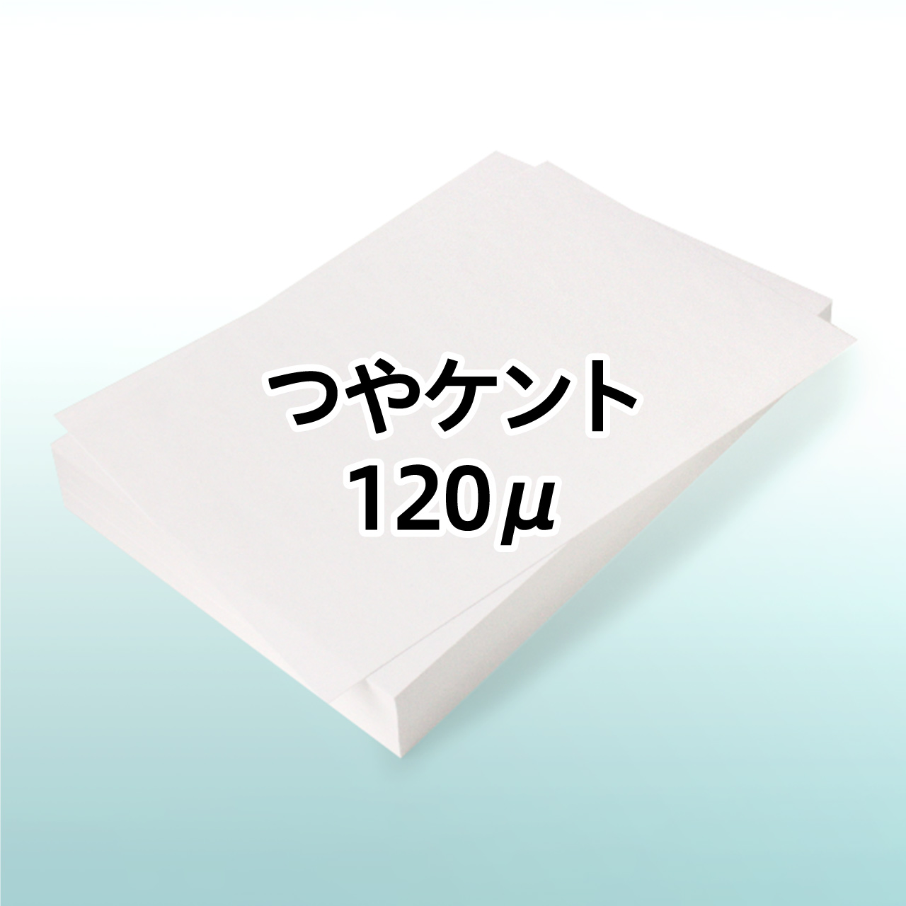 ��P���g 120��