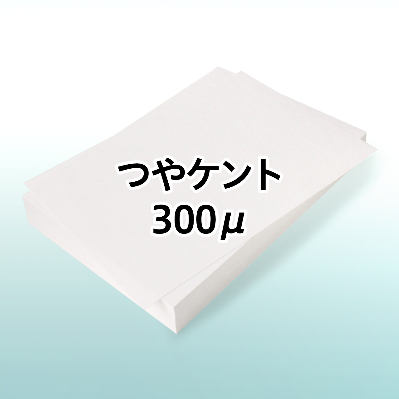 ��P���g 300��